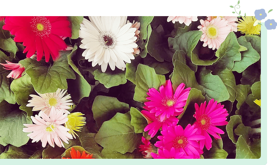 何気ない日常の花一輪,大切な人との特別な日のための贈り物