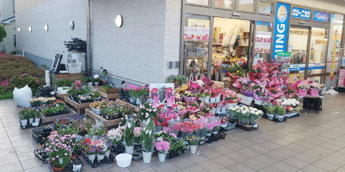 藤井寺店