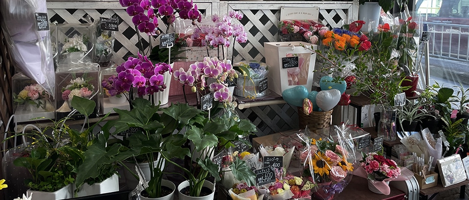 サブビジュアル画像