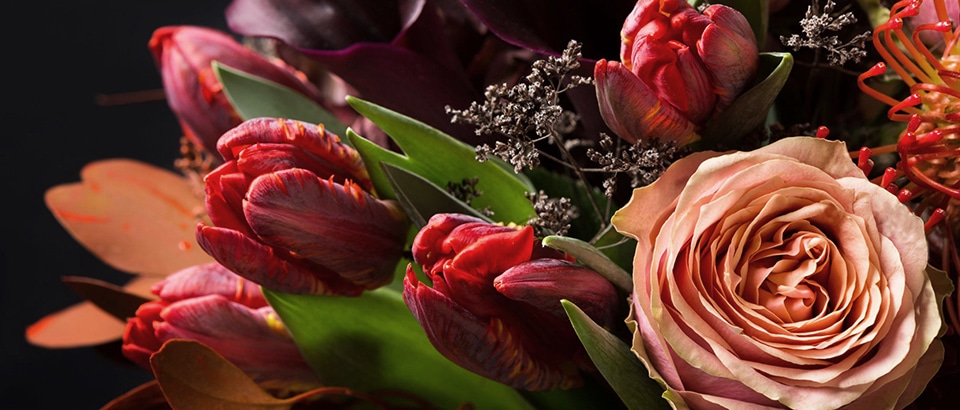 サブビジュアル画像