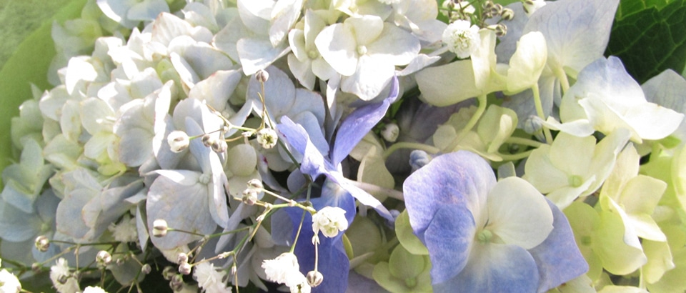 サブビジュアル画像